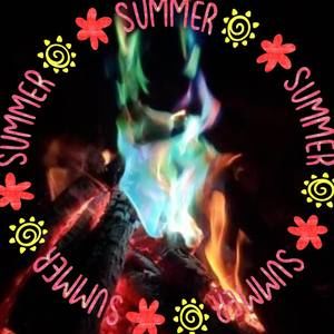 Meet your Posher, Trisha